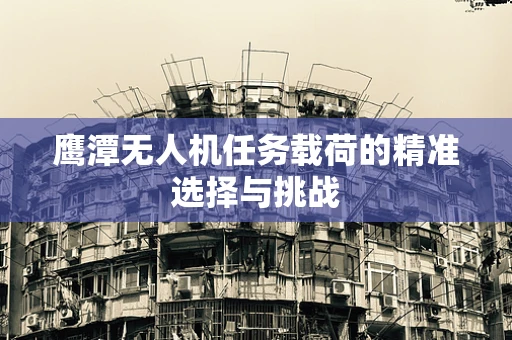 鹰潭无人机任务载荷的精准选择与挑战