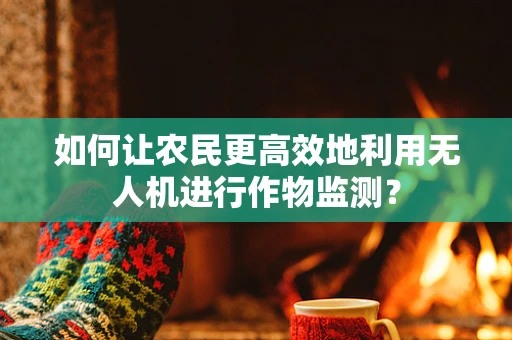 如何让农民更高效地利用无人机进行作物监测？