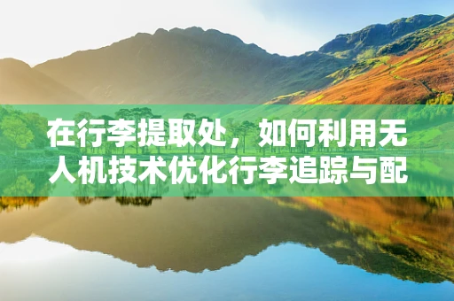 在行李提取处，如何利用无人机技术优化行李追踪与配送？