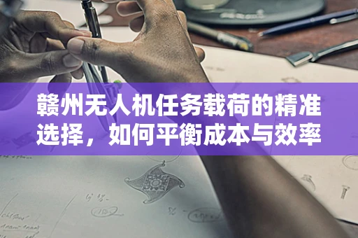 赣州无人机任务载荷的精准选择，如何平衡成本与效率？