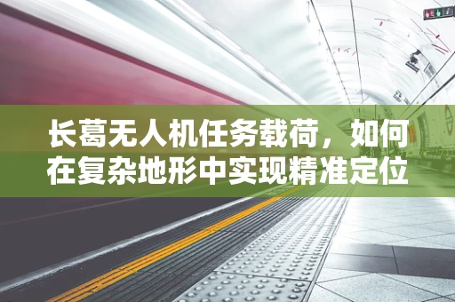 长葛无人机任务载荷，如何在复杂地形中实现精准定位与数据采集？