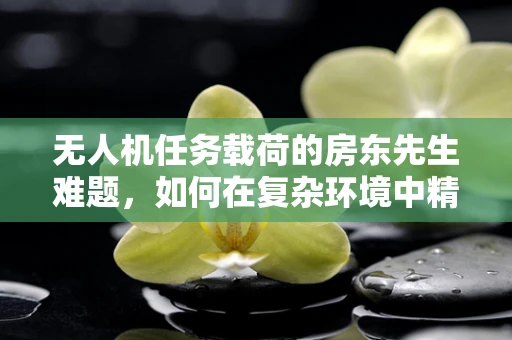 无人机任务载荷的房东先生难题，如何在复杂环境中精准部署？