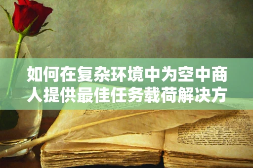 如何在复杂环境中为空中商人提供最佳任务载荷解决方案？