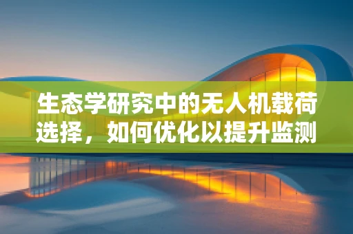 生态学研究中的无人机载荷选择，如何优化以提升监测精度？