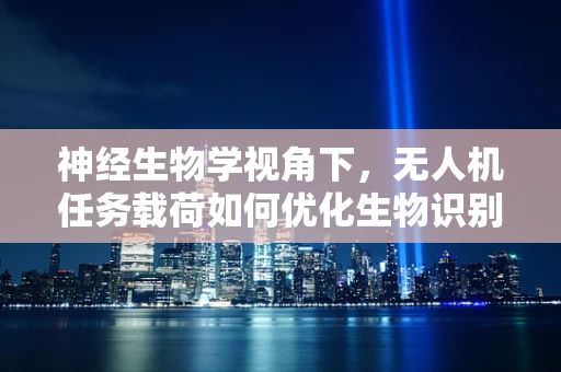 神经生物学视角下，无人机任务载荷如何优化生物识别能力？