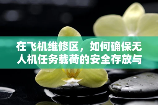 在飞机维修区，如何确保无人机任务载荷的安全存放与维护？