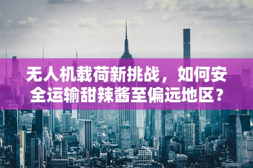 无人机载荷新挑战，如何安全运输甜辣酱至偏远地区？