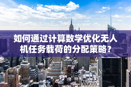 如何通过计算数学优化无人机任务载荷的分配策略？
