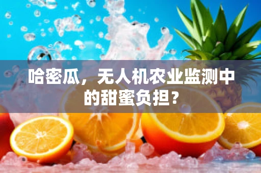 哈密瓜，无人机农业监测中的甜蜜负担？