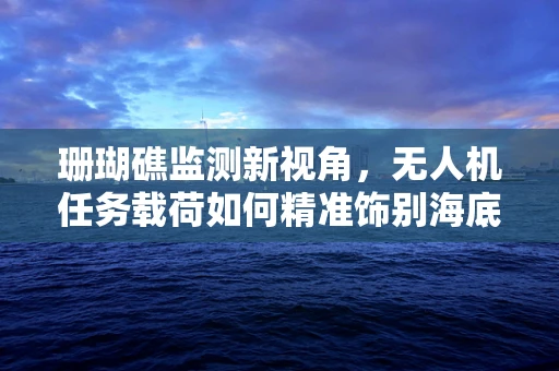 珊瑚礁监测新视角，无人机任务载荷如何精准饰别海底世界？