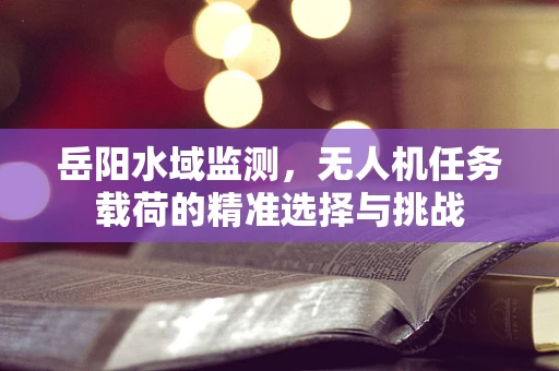 岳阳水域监测，无人机任务载荷的精准选择与挑战