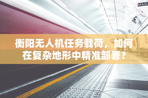 衡阳无人机任务载荷，如何在复杂地形中精准部署？