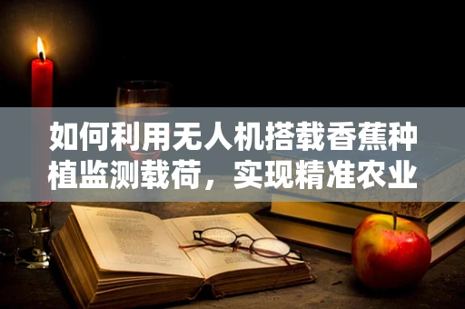 如何利用无人机搭载香蕉种植监测载荷，实现精准农业？