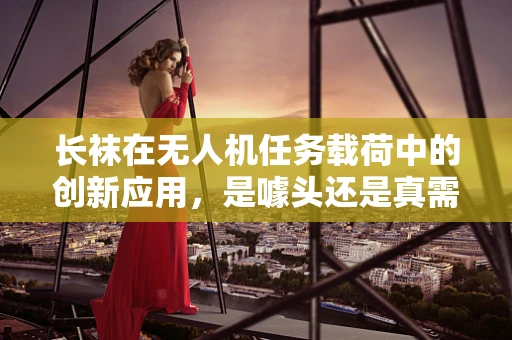 长袜在无人机任务载荷中的创新应用，是噱头还是真需求？