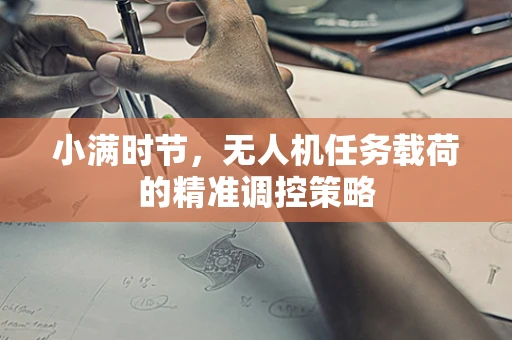 小满时节，无人机任务载荷的精准调控策略