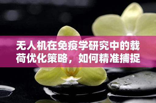 无人机在免疫学研究中的载荷优化策略，如何精准捕捉免疫细胞？