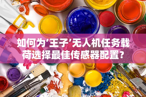 如何为‘王子’无人机任务载荷选择最佳传感器配置？