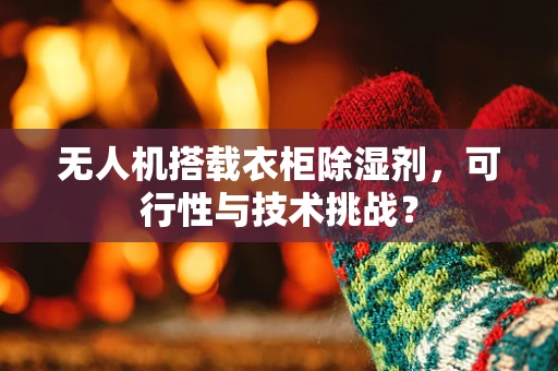 无人机搭载衣柜除湿剂，可行性与技术挑战？