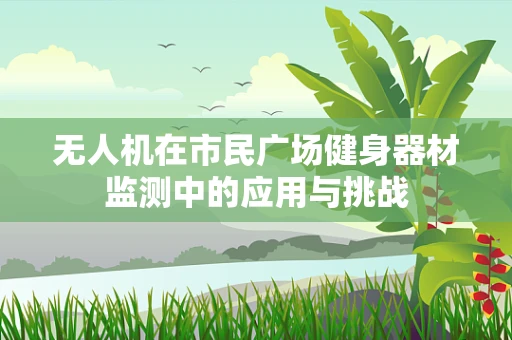 无人机在市民广场健身器材监测中的应用与挑战