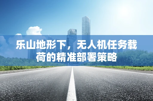 乐山地形下，无人机任务载荷的精准部署策略