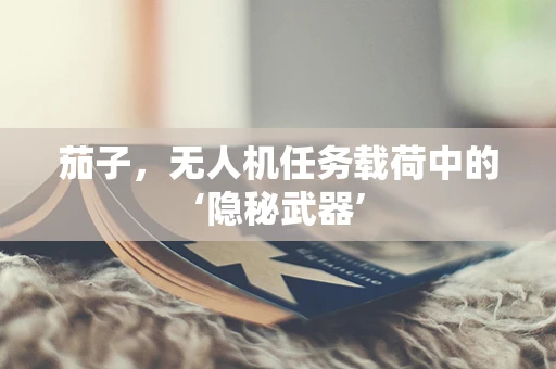 茄子，无人机任务载荷中的‘隐秘武器’