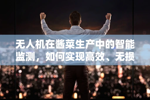 无人机在酱菜生产中的智能监测，如何实现高效、无损的作物监测？