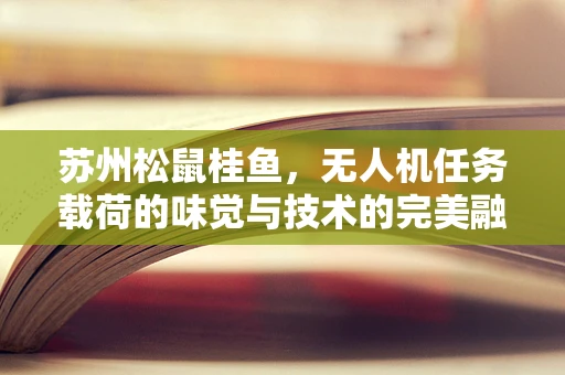 苏州松鼠桂鱼，无人机任务载荷的味觉与技术的完美融合