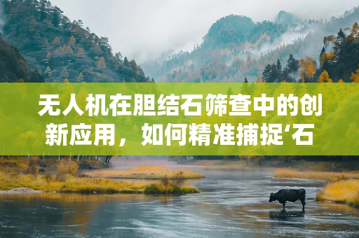 无人机在胆结石筛查中的创新应用，如何精准捕捉‘石’之秘？