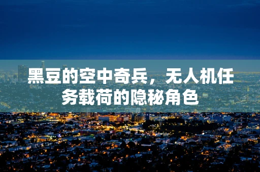 黑豆的空中奇兵，无人机任务载荷的隐秘角色