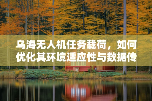 乌海无人机任务载荷，如何优化其环境适应性与数据传输效率？