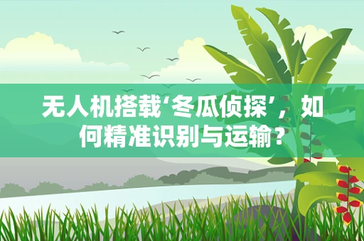 无人机搭载‘冬瓜侦探’，如何精准识别与运输？
