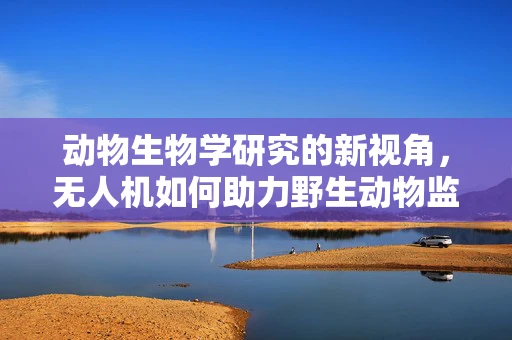 动物生物学研究的新视角，无人机如何助力野生动物监测？