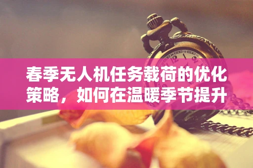 春季无人机任务载荷的优化策略，如何在温暖季节提升飞行效率？