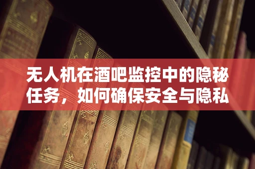 无人机在酒吧监控中的隐秘任务，如何确保安全与隐私的平衡？