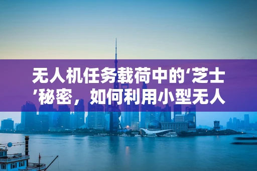 无人机任务载荷中的‘芝士’秘密，如何利用小型无人机进行精准物流配送？