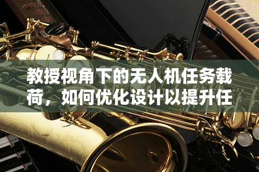 教授视角下的无人机任务载荷，如何优化设计以提升任务效率？