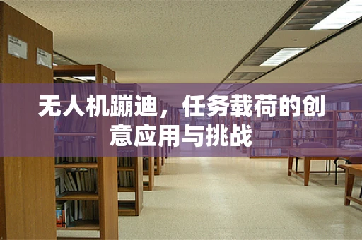 无人机蹦迪，任务载荷的创意应用与挑战