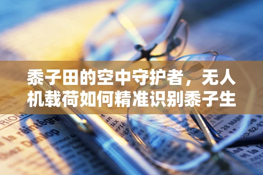 黍子田的空中守护者，无人机载荷如何精准识别黍子生长状况？