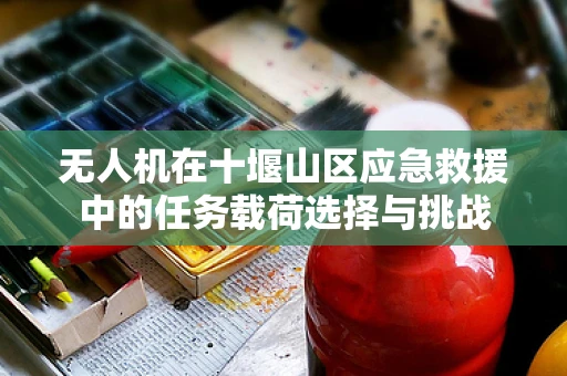 无人机在十堰山区应急救援中的任务载荷选择与挑战
