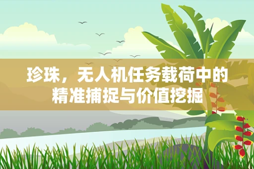 珍珠，无人机任务载荷中的精准捕捉与价值挖掘