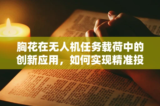 胸花在无人机任务载荷中的创新应用，如何实现精准投放与识别？