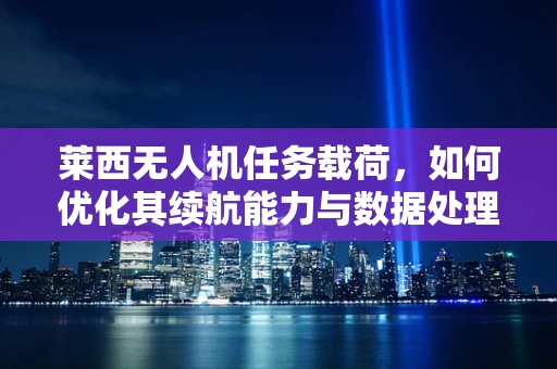 莱西无人机任务载荷，如何优化其续航能力与数据处理效率？