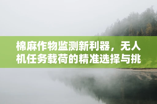 棉麻作物监测新利器，无人机任务载荷的精准选择与挑战