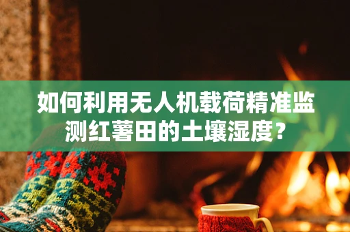 如何利用无人机载荷精准监测红薯田的土壤湿度？