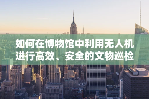 如何在博物馆中利用无人机进行高效、安全的文物巡检？
