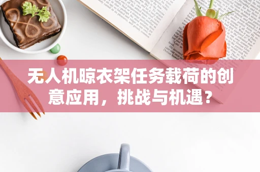 无人机晾衣架任务载荷的创意应用，挑战与机遇？