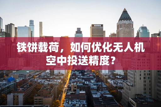 铁饼载荷，如何优化无人机空中投送精度？