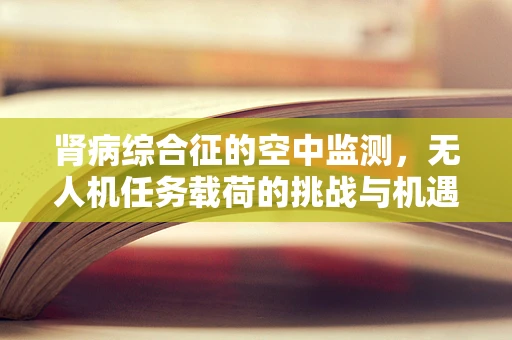 肾病综合征的空中监测，无人机任务载荷的挑战与机遇