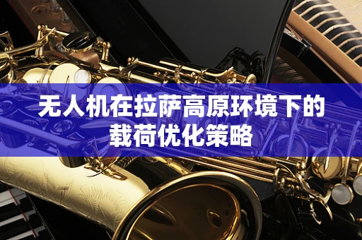无人机在拉萨高原环境下的载荷优化策略
