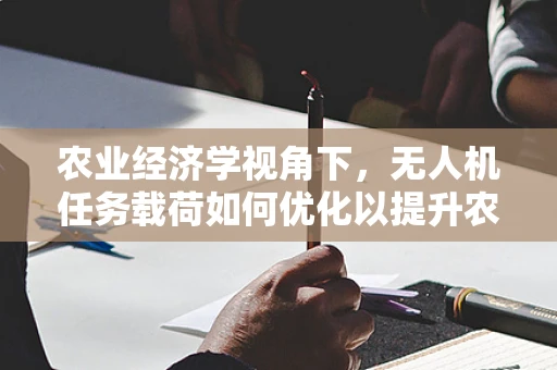 农业经济学视角下，无人机任务载荷如何优化以提升农田监测效率？